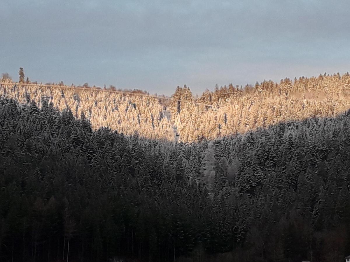 In Ruhiger Waldrandlage Bad Wildbad