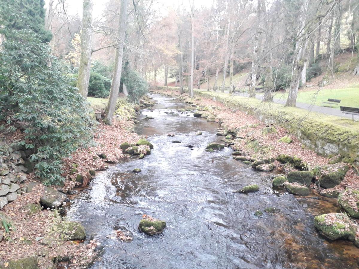 In Ruhiger Waldrandlage Bad Wildbad