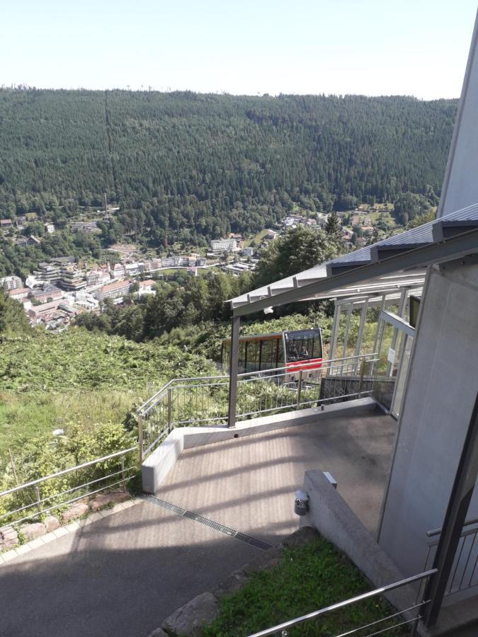 In Ruhiger Waldrandlage * Bad Wildbad