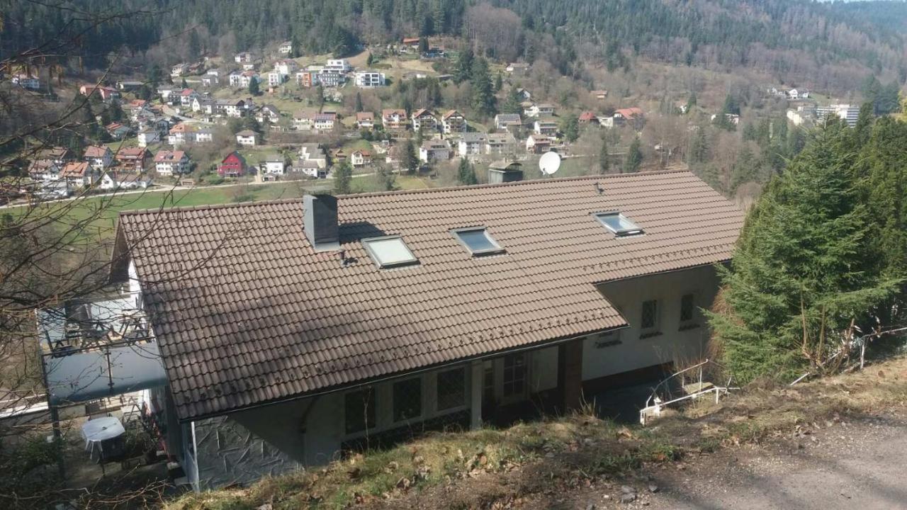 In Ruhiger Waldrandlage Appartement *