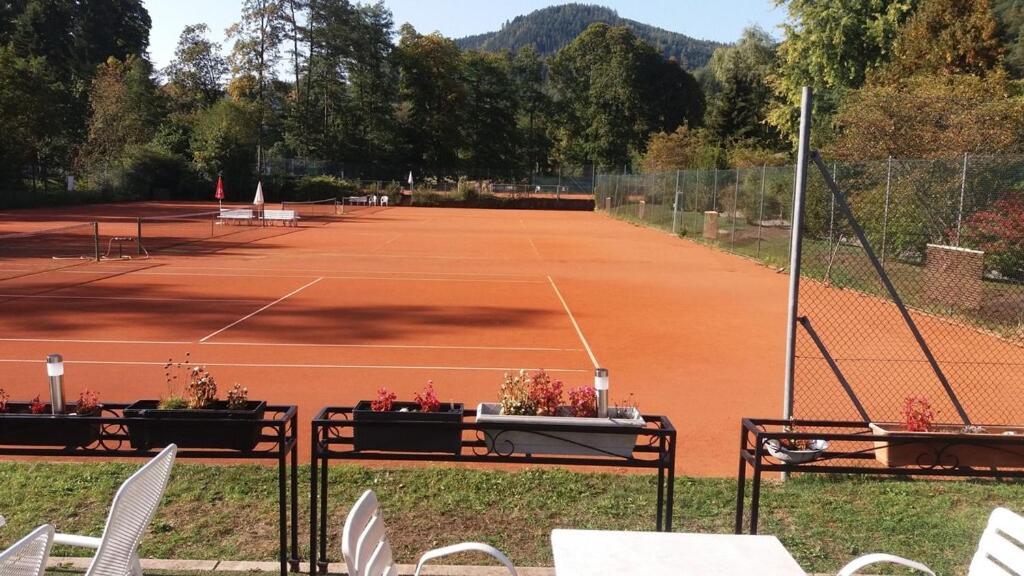 In Ruhiger Waldrandlage * Bad Wildbad