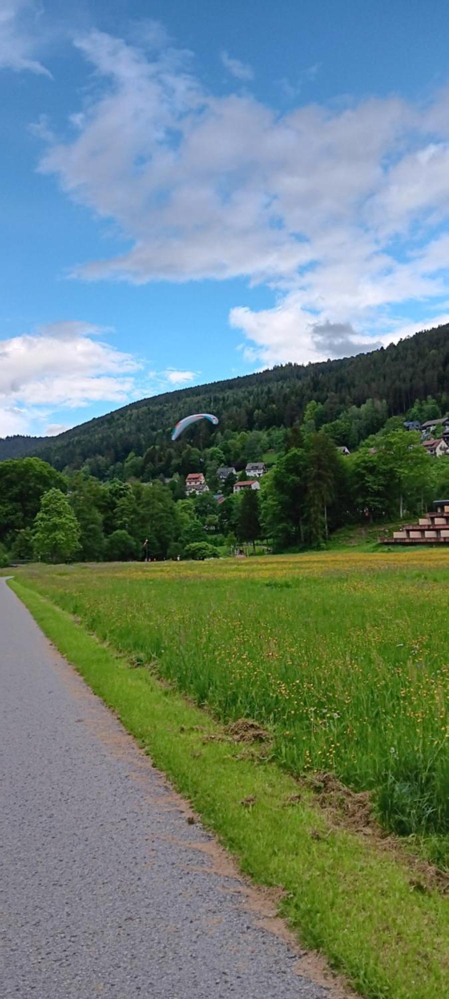 In Ruhiger Waldrandlage Bad Wildbad