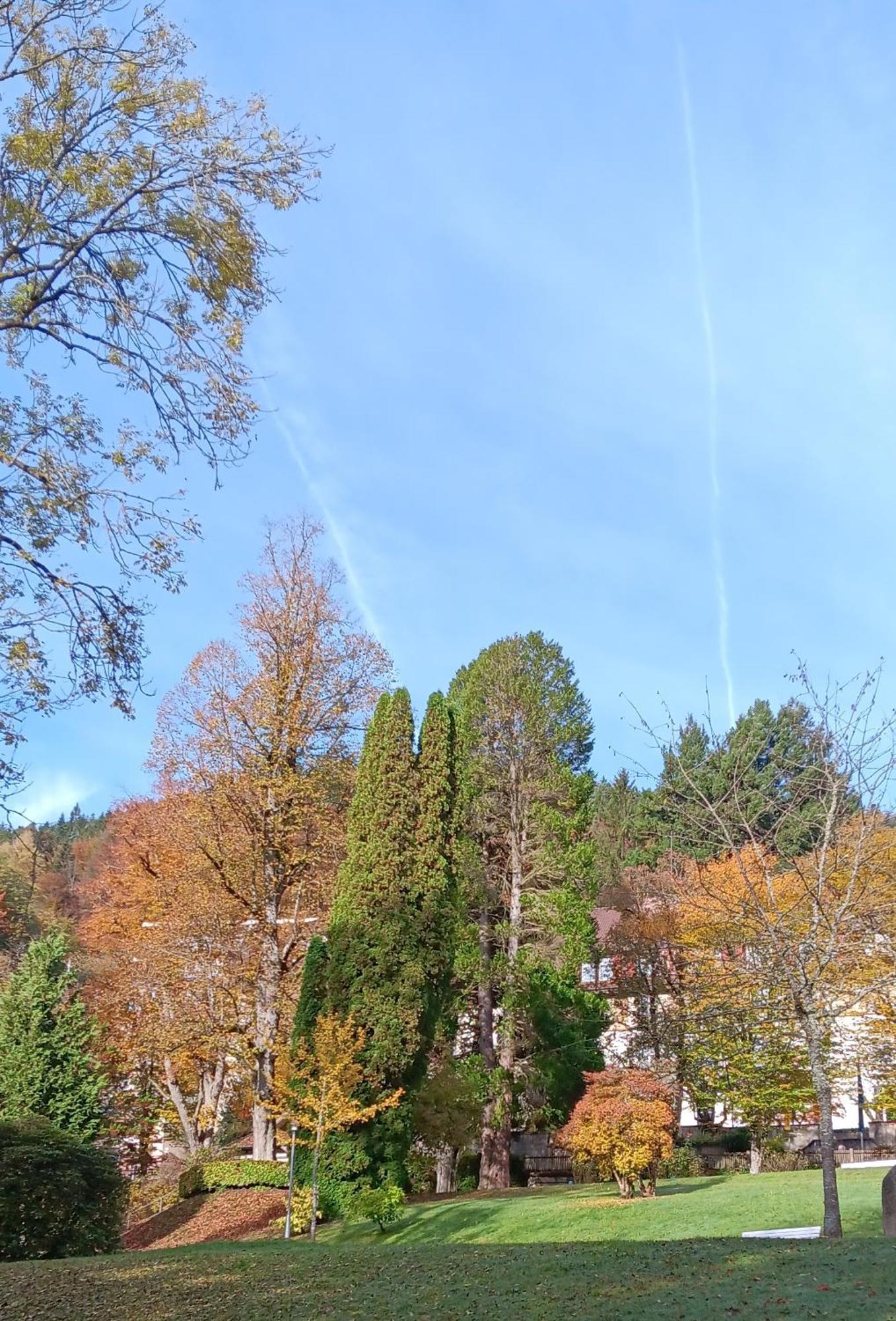 In Ruhiger Waldrandlage Bad Wildbad